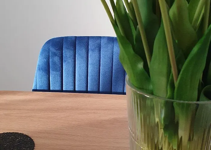 דירה New Market *